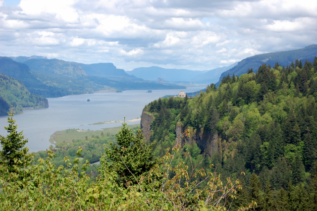 Columbia River Gorge View