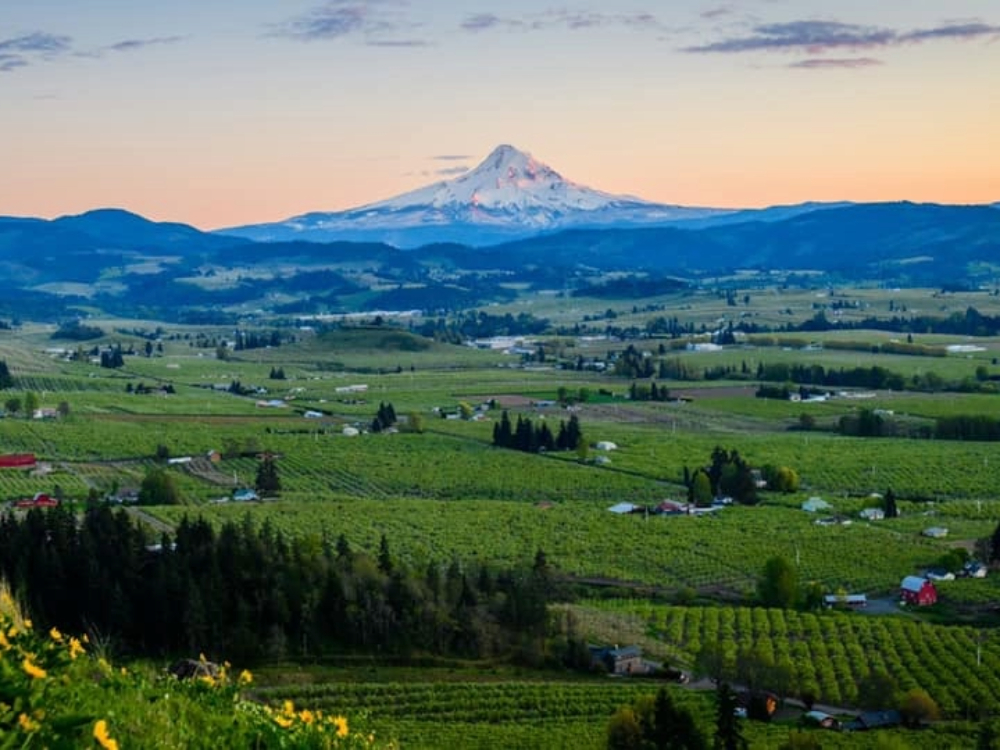 Golumbia River Gorge Vista View