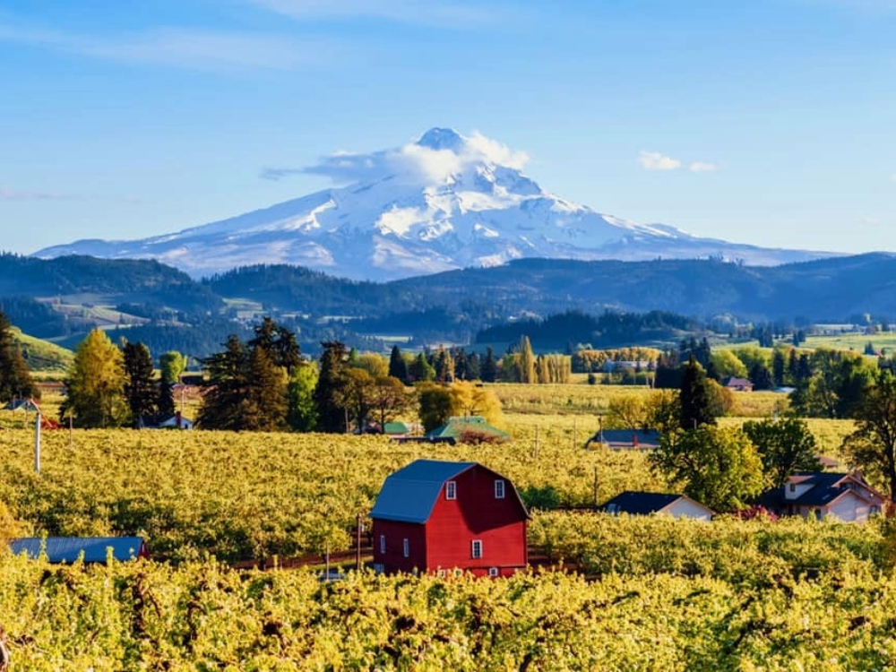 Golumbia River Gorge Vista View
