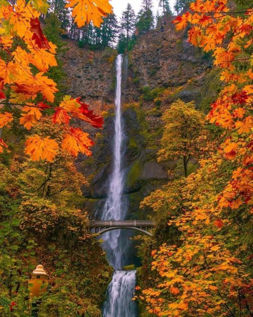 Waterfall in the Columbia Gorge